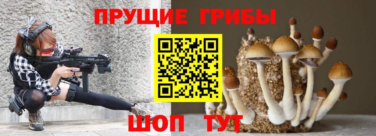 Галлюциногенные грибы прущие грибы  Вход с VPN  купить закладку  Шахты 